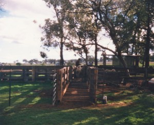 Yards now silent, memories still alive