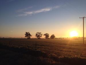 This is the view from walking track