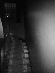 Trying to capture a glimpse of a spirit