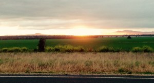 Looking damn fine after the rain