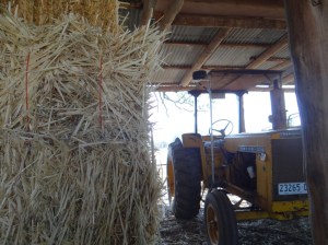 This tractor has seen many acres, solved many problems for the driver.