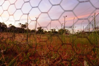 tenniscourts_January2016C