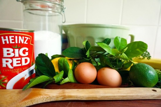 CH_rawingredients+soup