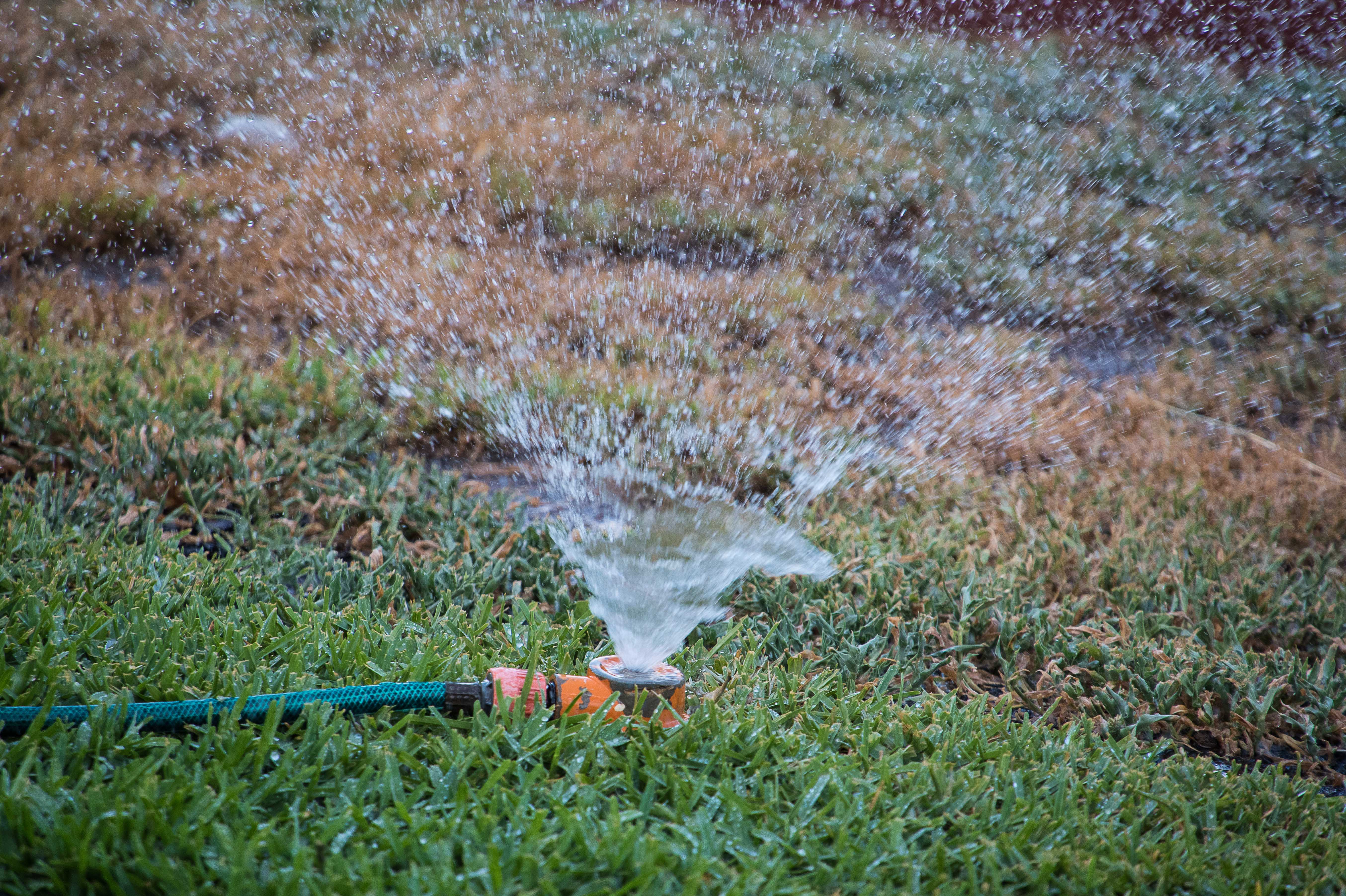 countryhorizons_sprinkler