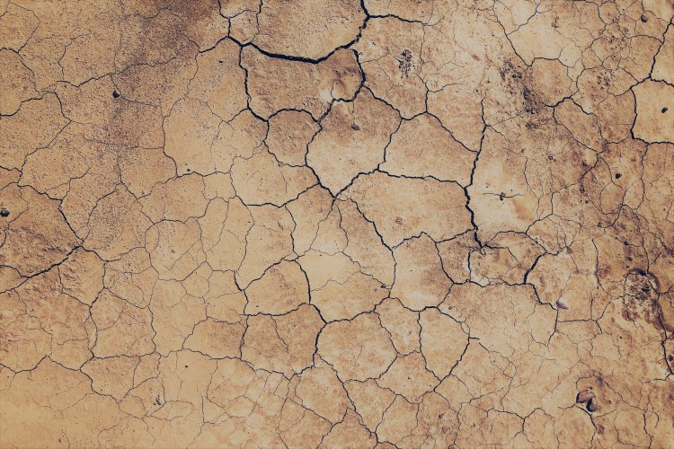 ramin-khatibi-577822-unsplash edited